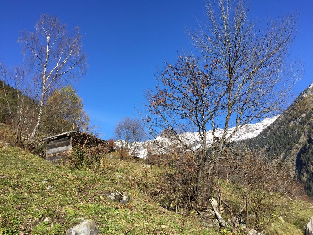 Appart Kalsberger Kaunertal Oda fotoğraf
